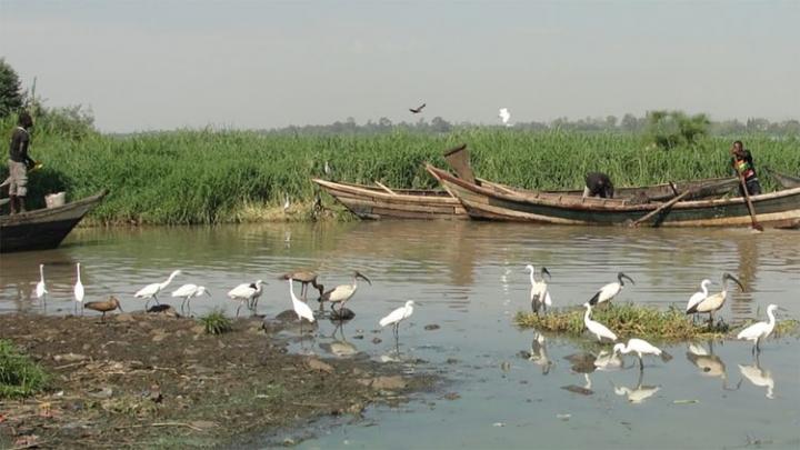Lake Victoria