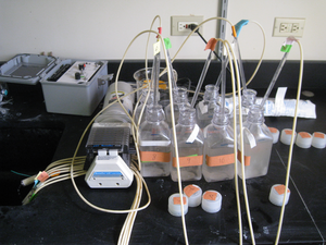 Sample filtration