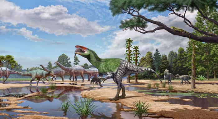 Artist's illustration of Invictibellatrix amberina