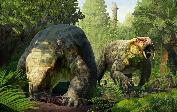 New species of 240-million-year-old prehistoric animal from Tanzania discovered