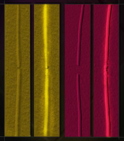 Changing Phases With Less Energy (8 of 9)