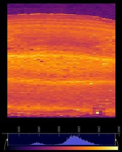 Elemental map of the isotope strontium (Sr) from dinosaur eggshell