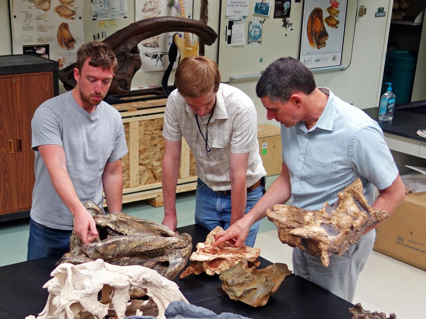 Team Ankylosaur