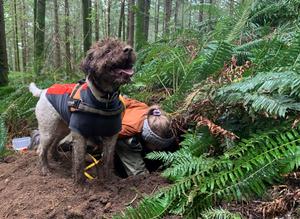 Truffle find