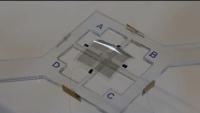 Multilayer Dielectric Elastomers