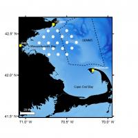 Right Whales Study Area Map