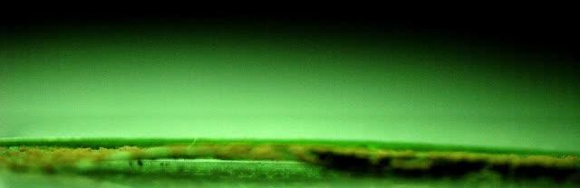 Vortex-Induced Pathogen Dispersal upon Impact (1 of 3)