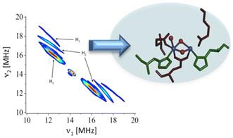 New Spectroscopy Method Developed to Capture Photosynthetic Reactions