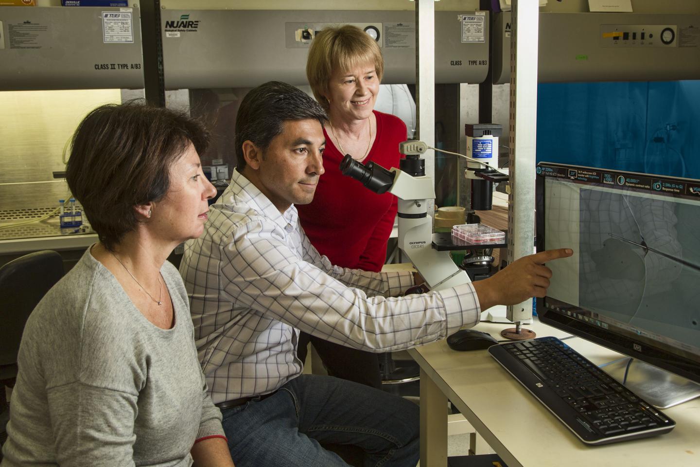 Salk Researchers