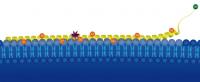 Protein Alpha-Synuclein