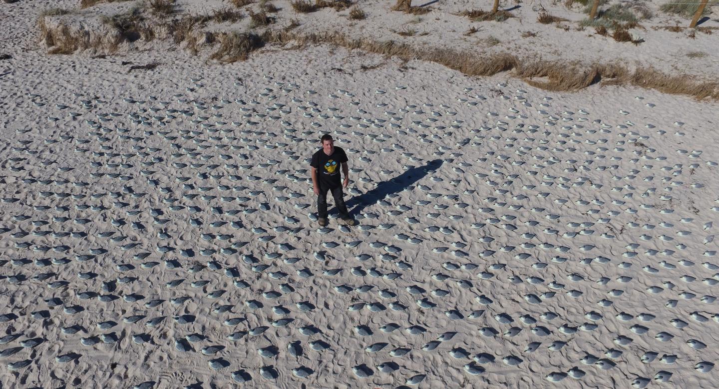 Counting with Drones