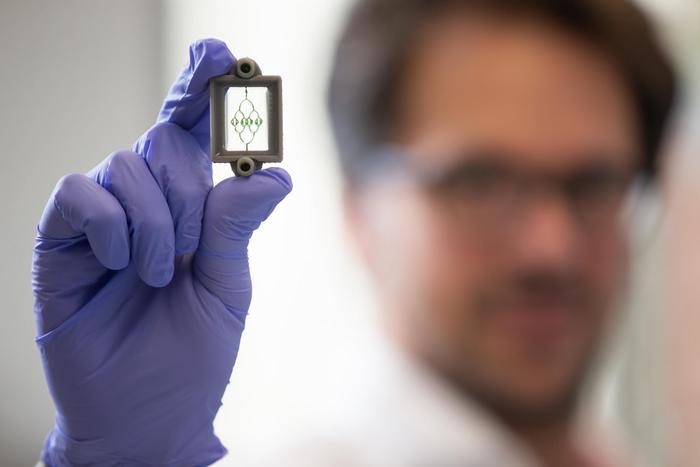 Glioblastoma-on-a-chip