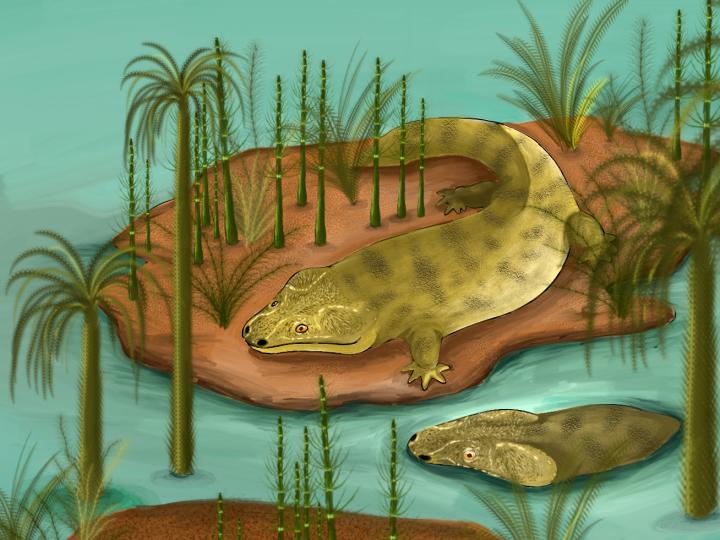 Metoposaur