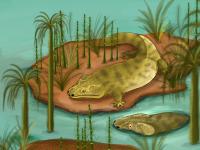 Metoposaur