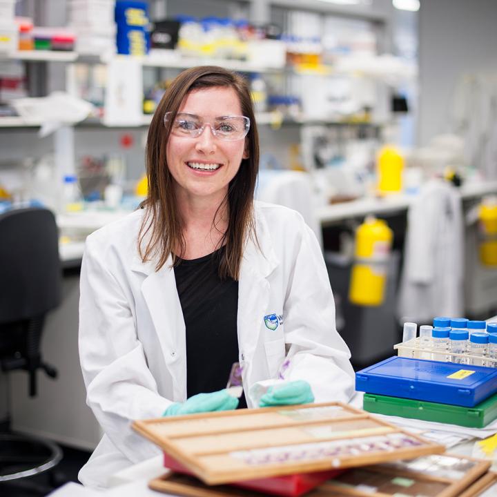 Ewa Michalak, The Walter and Eliza Hall Institute of Medical Research