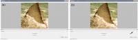Identifin Interface (1 of 3)