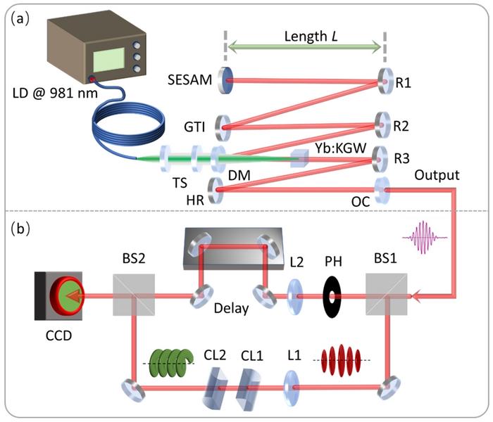 Figure | Schematic of the experiment.