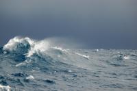 Wave