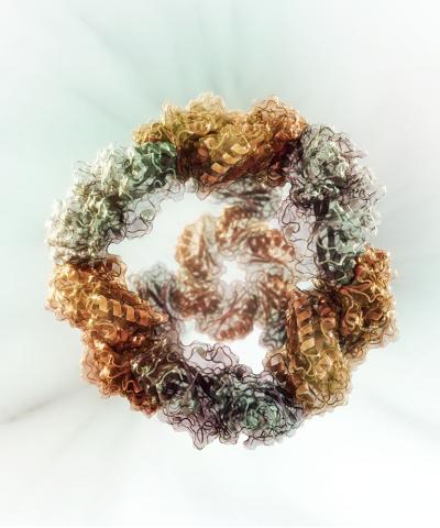 Engineered Nanocage