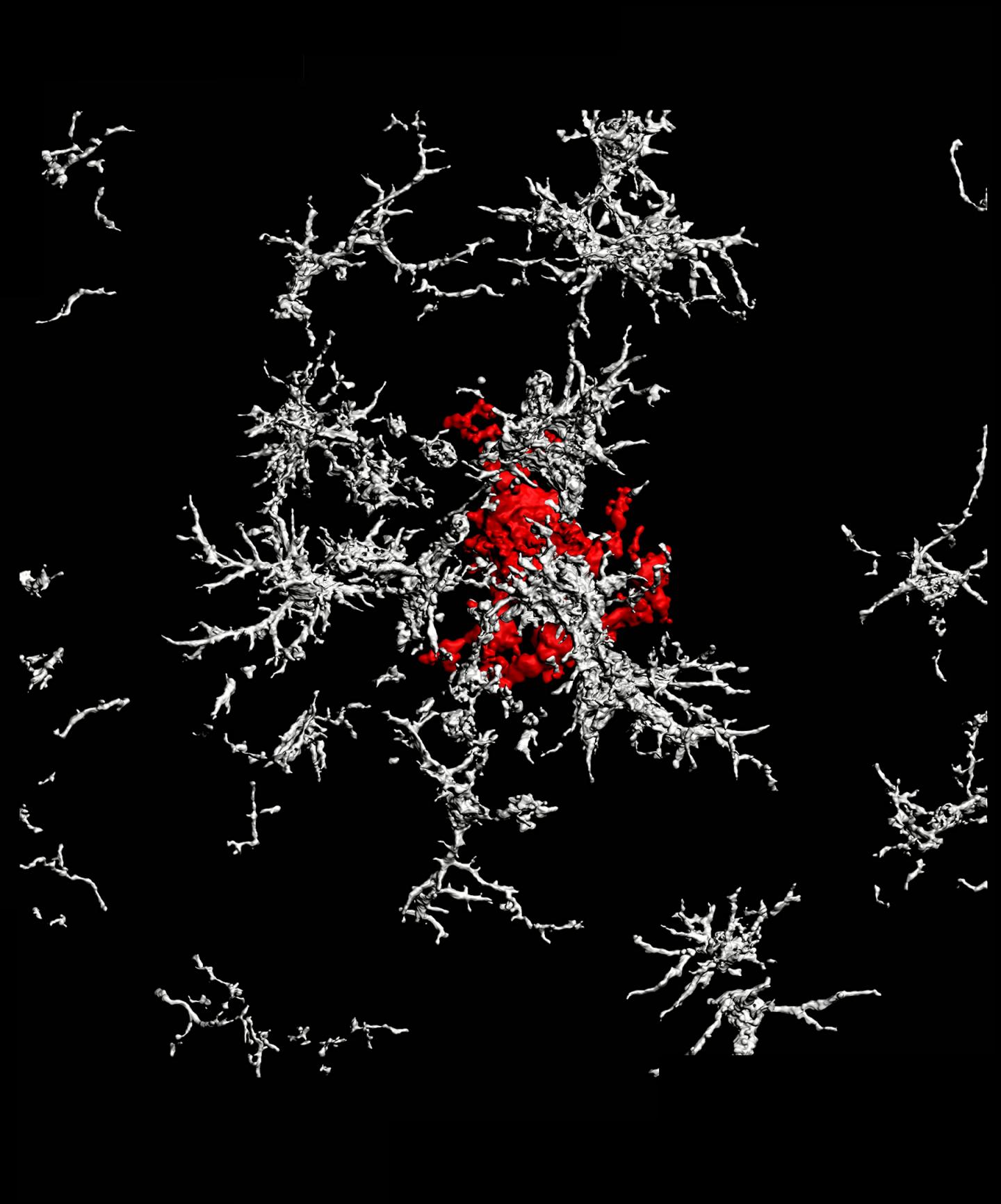 Science image