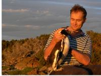 Professor Rory Wilson with Magellanic Penguin