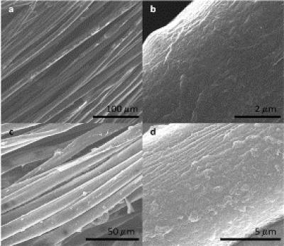 Smart Fabrics