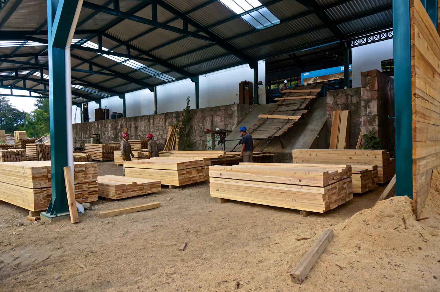 Sawmill