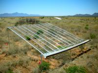Desert Grassland Study Plot