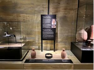 museum display