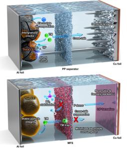 Schematic illustrations of a conventional polypropylene (PP) separator (top) and the molecularly engineered separator (MFS, bottom) in lithium-metal batteries