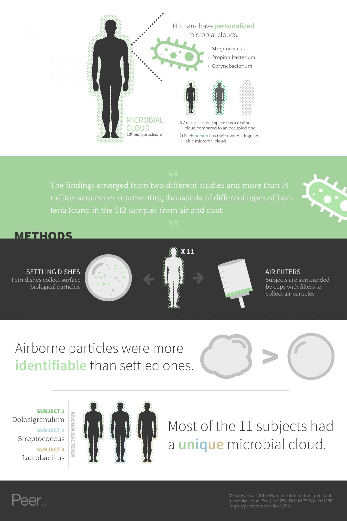 Infographic of the Study