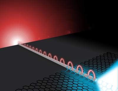 Illustration of MoS2/Nanowire Structure