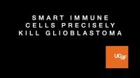 Combined Recognition Strategy Allows CAR T Cells to Kill Solid Tumors in Mice and Avoid Side Effects (3 of 3)