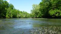 The Cahaba River