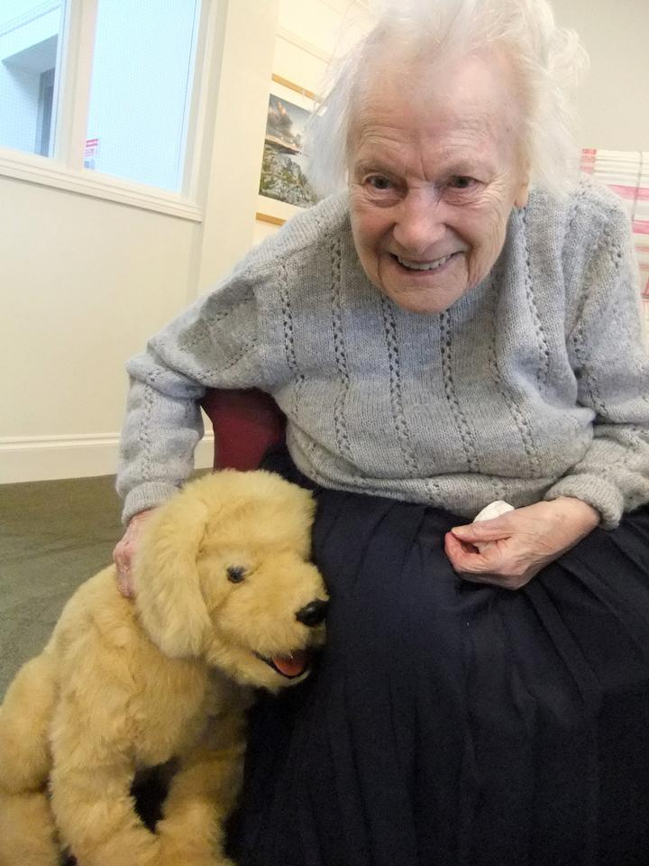 Robopets Care South