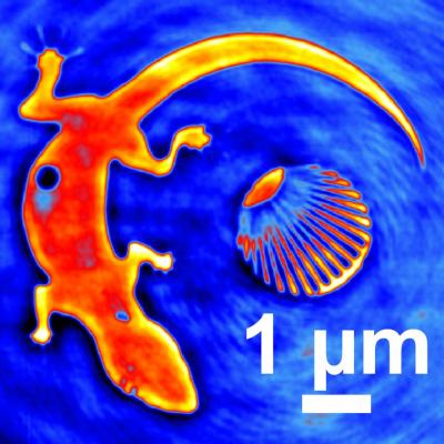 Image-Stabilized X-ray Camera
