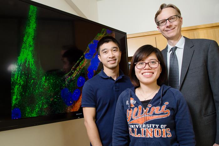 Steven Zimmerman and Colleagues