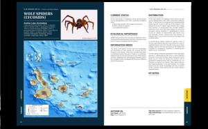 Wolf Spiders fact sheet