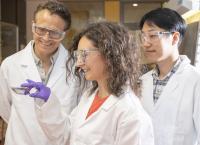 All 3 Researchers from Left to Right: Dr Ross Hatton, Dr Silva Varagnolo and Dr Jaemin Lee