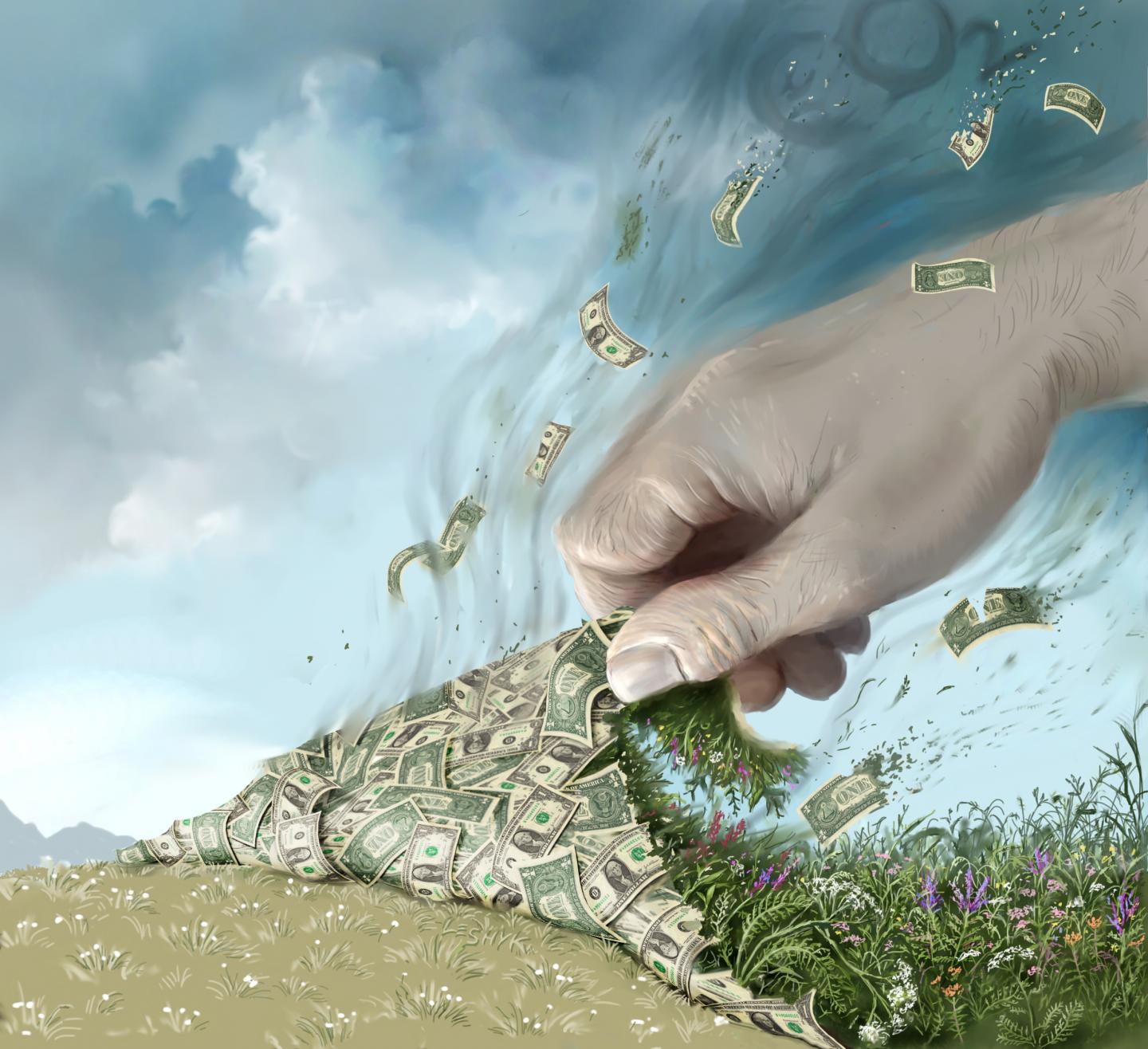 Money Talks and It's Telling us to Protect Biodiversity in Grasslands (1 of 6)