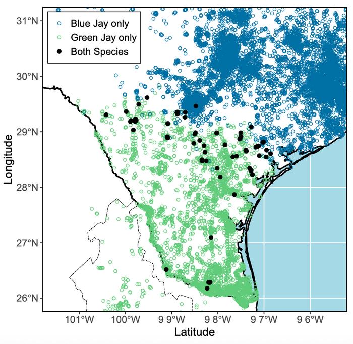 Map of occurence of blue jays and green jays in Texas