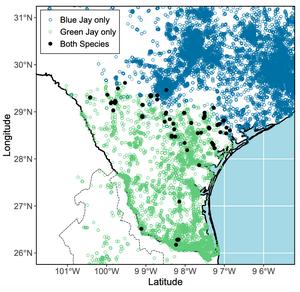 Map of occurence of blue jays and green jays in Texas