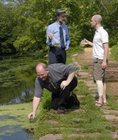 Duckweed Collection