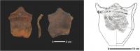 A Yakushoden site potsherd