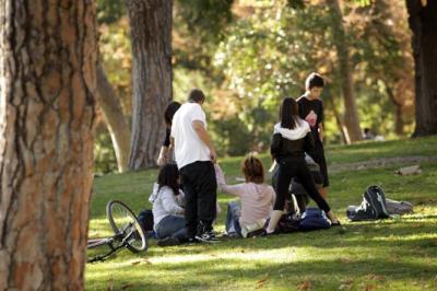 Spanish Adolescents