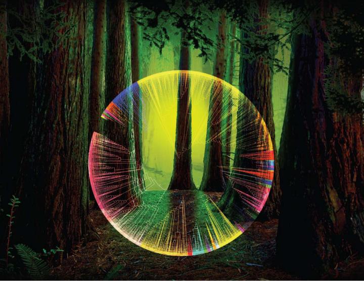 Microbial Dark Matter Illuminating the Tree of Life