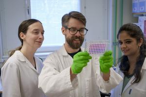 Clamydia lab