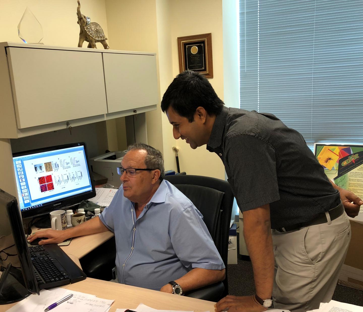 Alexander Raikhel and Sourav Roy