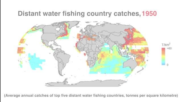 Industrial Fishing Fleets Expansion