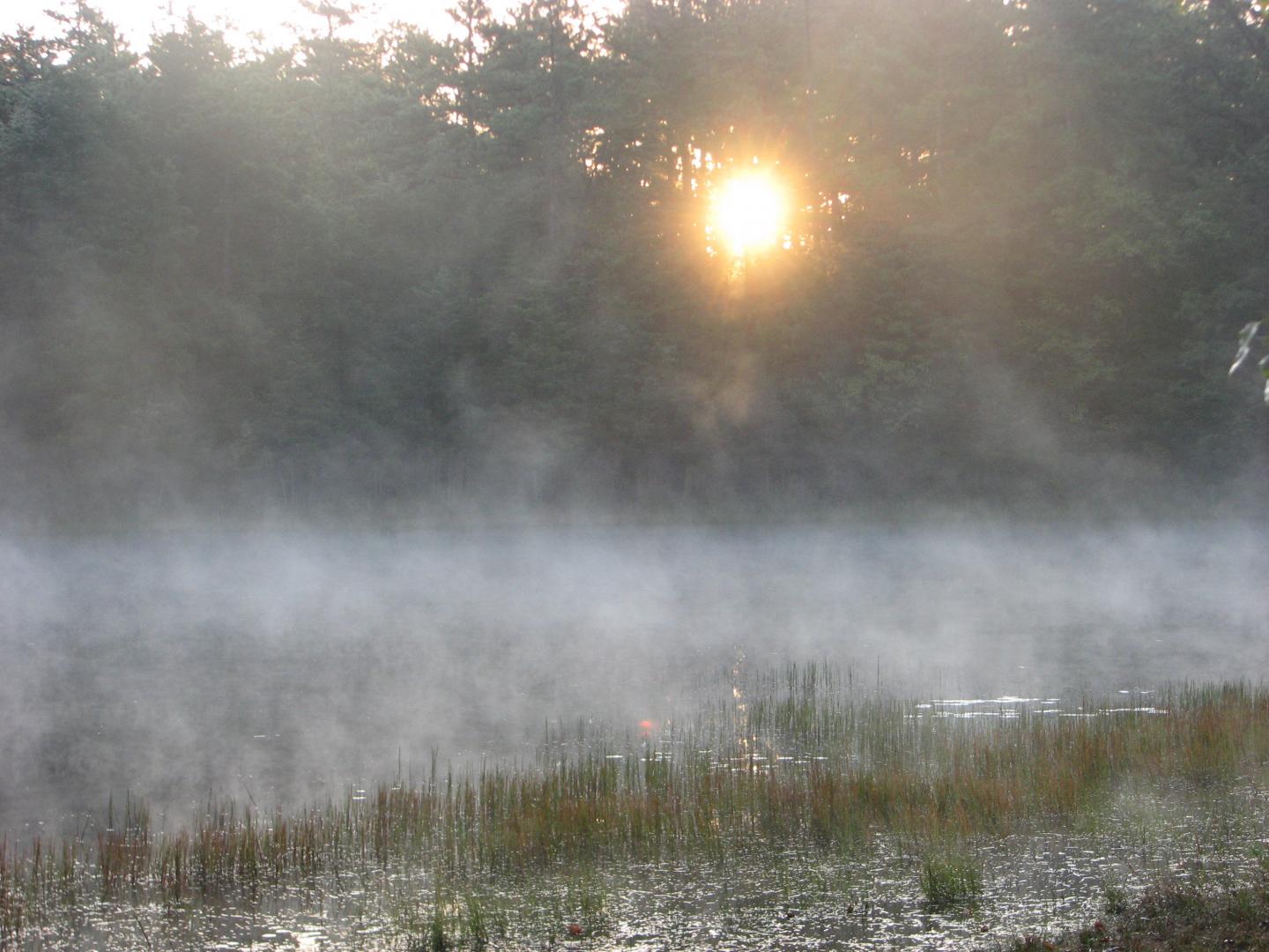 Pakim's Pond